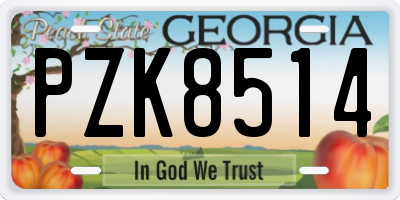 GA license plate PZK8514