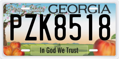 GA license plate PZK8518