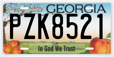 GA license plate PZK8521