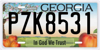 GA license plate PZK8531