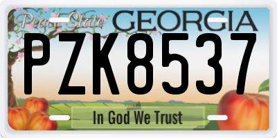 GA license plate PZK8537
