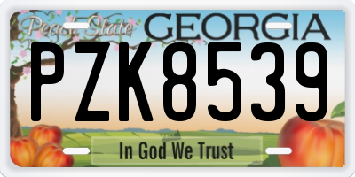 GA license plate PZK8539
