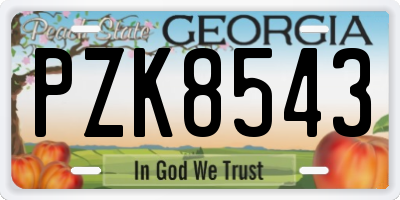 GA license plate PZK8543
