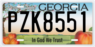 GA license plate PZK8551