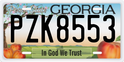 GA license plate PZK8553