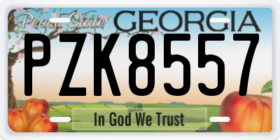 GA license plate PZK8557