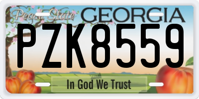 GA license plate PZK8559