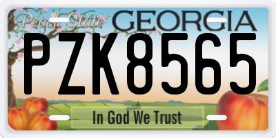 GA license plate PZK8565