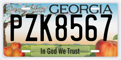 GA license plate PZK8567