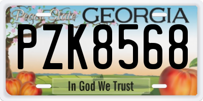 GA license plate PZK8568
