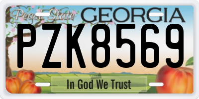 GA license plate PZK8569