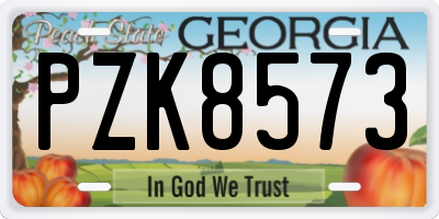 GA license plate PZK8573