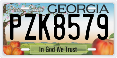GA license plate PZK8579