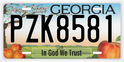 GA license plate PZK8581