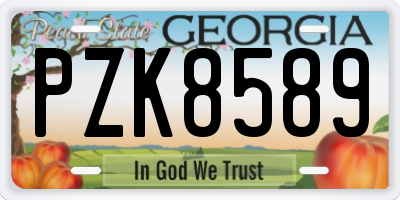 GA license plate PZK8589