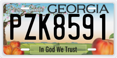 GA license plate PZK8591