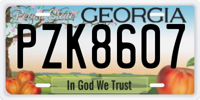 GA license plate PZK8607