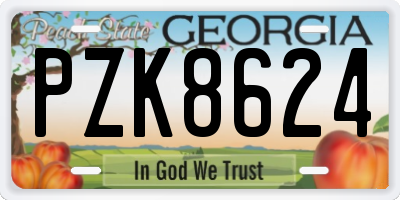 GA license plate PZK8624