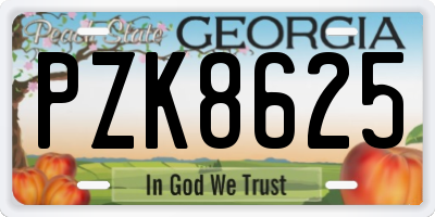 GA license plate PZK8625