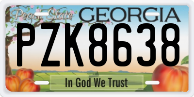 GA license plate PZK8638