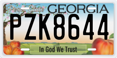 GA license plate PZK8644