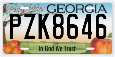 GA license plate PZK8646
