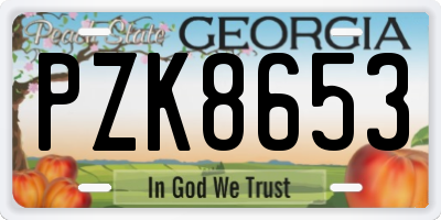 GA license plate PZK8653