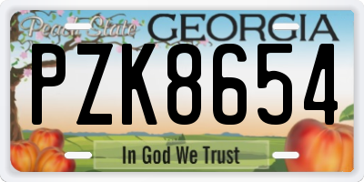 GA license plate PZK8654
