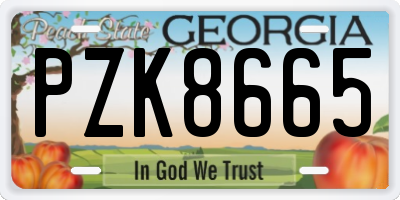 GA license plate PZK8665