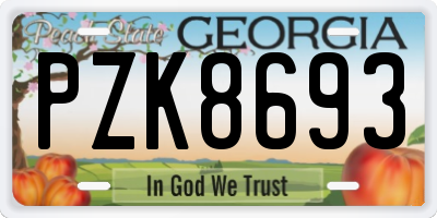 GA license plate PZK8693