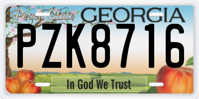 GA license plate PZK8716