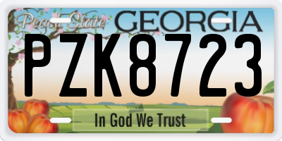 GA license plate PZK8723