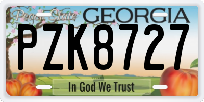 GA license plate PZK8727