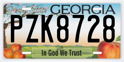 GA license plate PZK8728