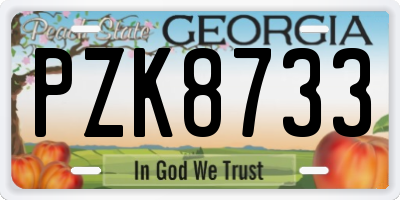 GA license plate PZK8733