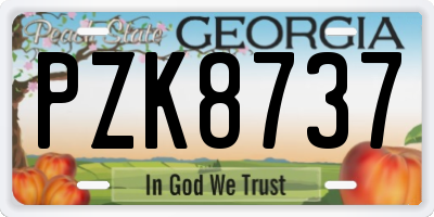 GA license plate PZK8737