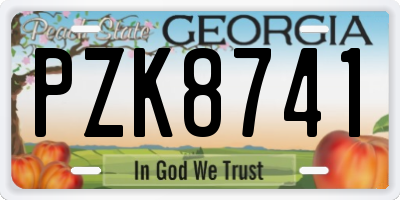 GA license plate PZK8741