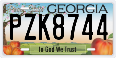 GA license plate PZK8744