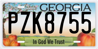 GA license plate PZK8755