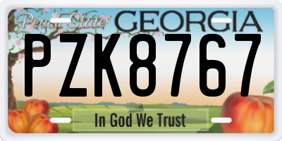 GA license plate PZK8767