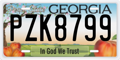 GA license plate PZK8799