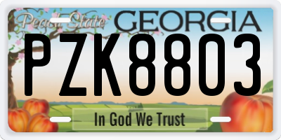 GA license plate PZK8803