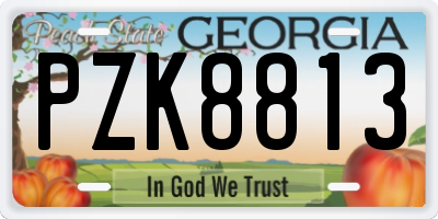 GA license plate PZK8813