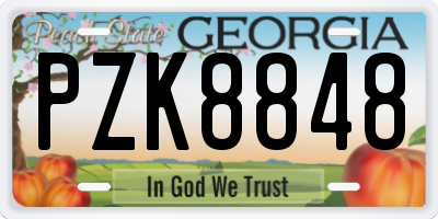 GA license plate PZK8848