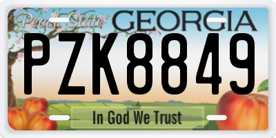 GA license plate PZK8849