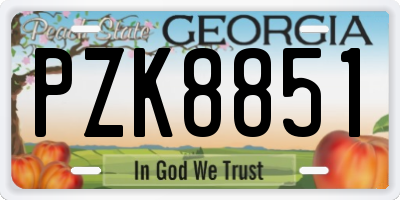 GA license plate PZK8851