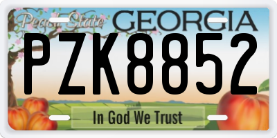 GA license plate PZK8852