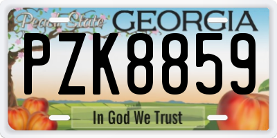 GA license plate PZK8859