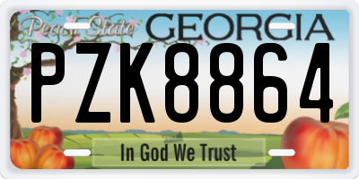 GA license plate PZK8864