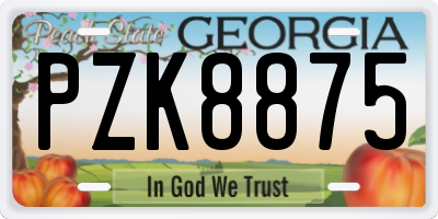 GA license plate PZK8875
